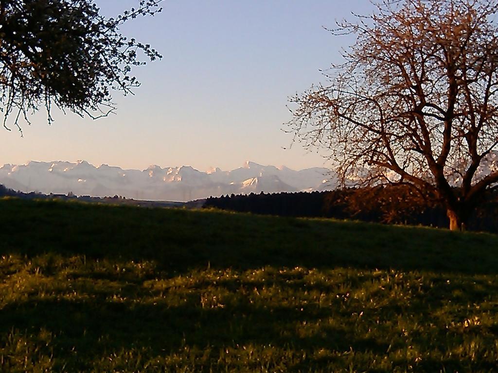 Apartment Bei Linda Beromünster Rum bild